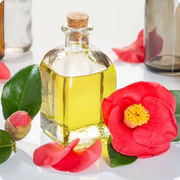 Camelia Oil